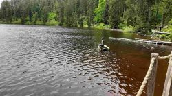 Bild17 Bild17