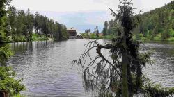 Bild19 Bild19